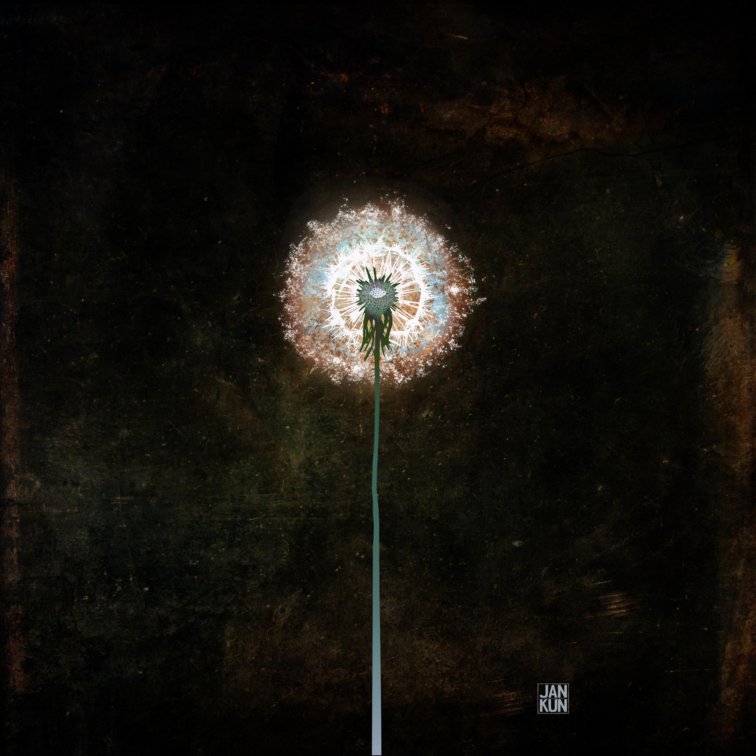 Dandelion